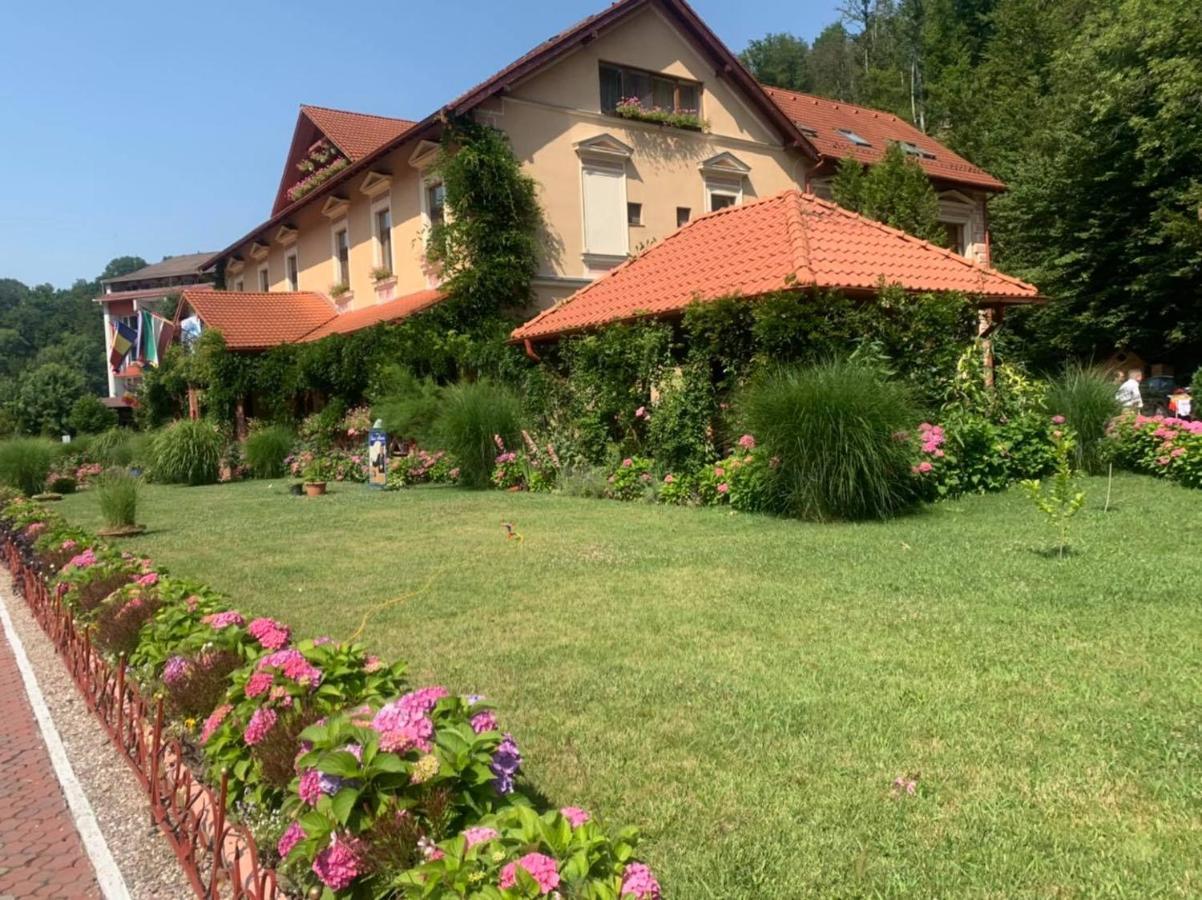 Vila Cerbul Albastru Hotel Монеаса Екстериор снимка