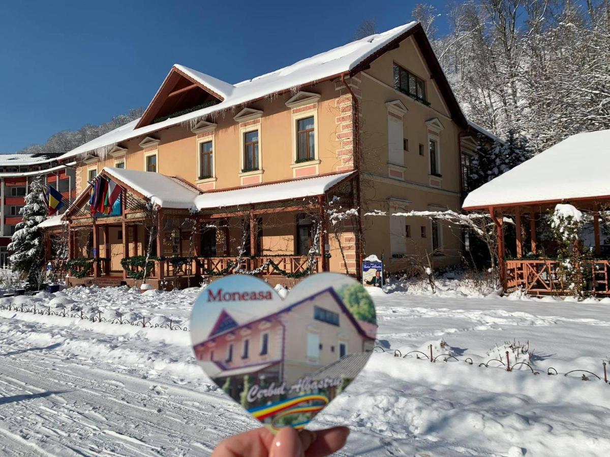 Vila Cerbul Albastru Hotel Монеаса Екстериор снимка