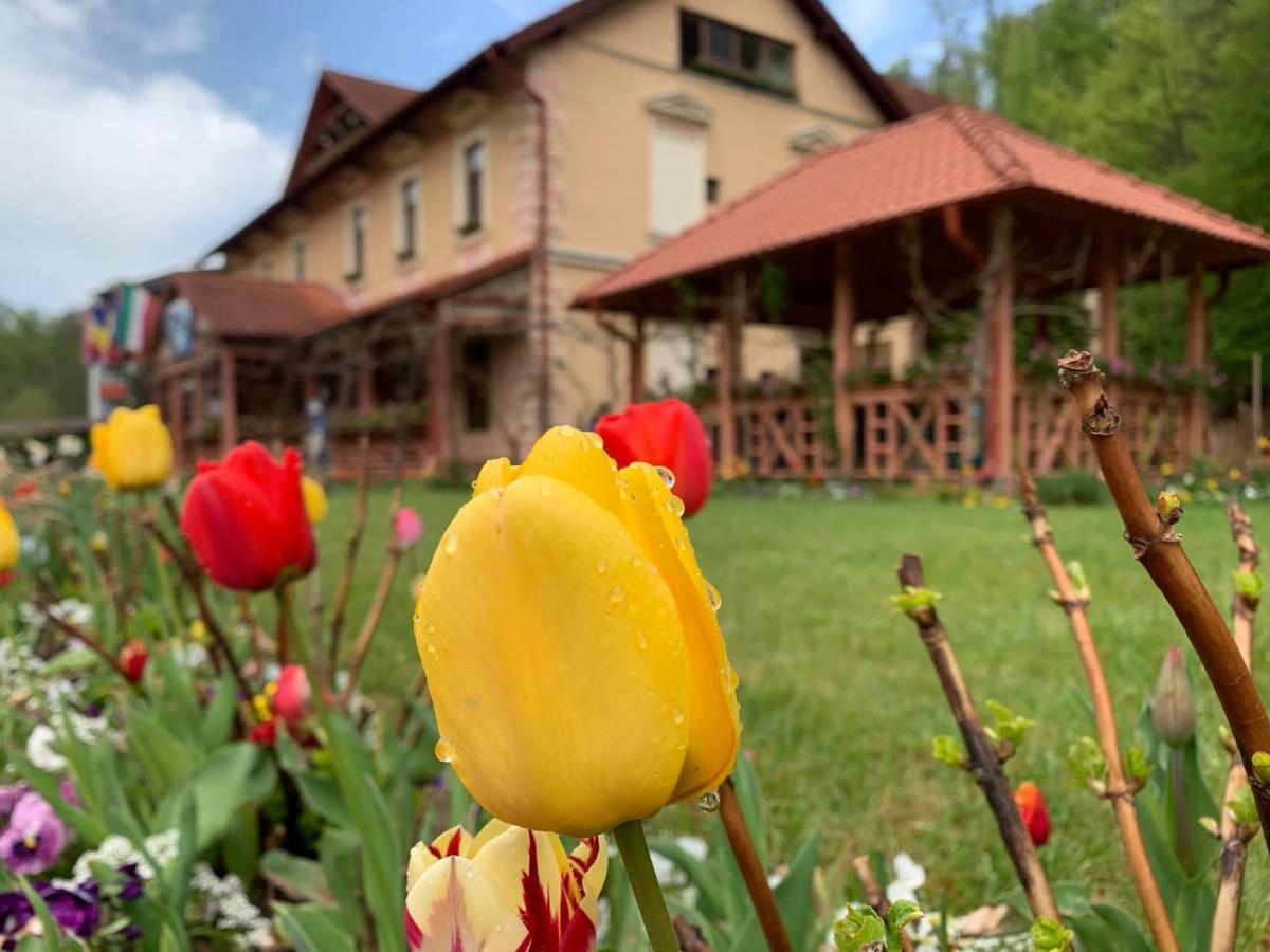 Vila Cerbul Albastru Hotel Монеаса Екстериор снимка