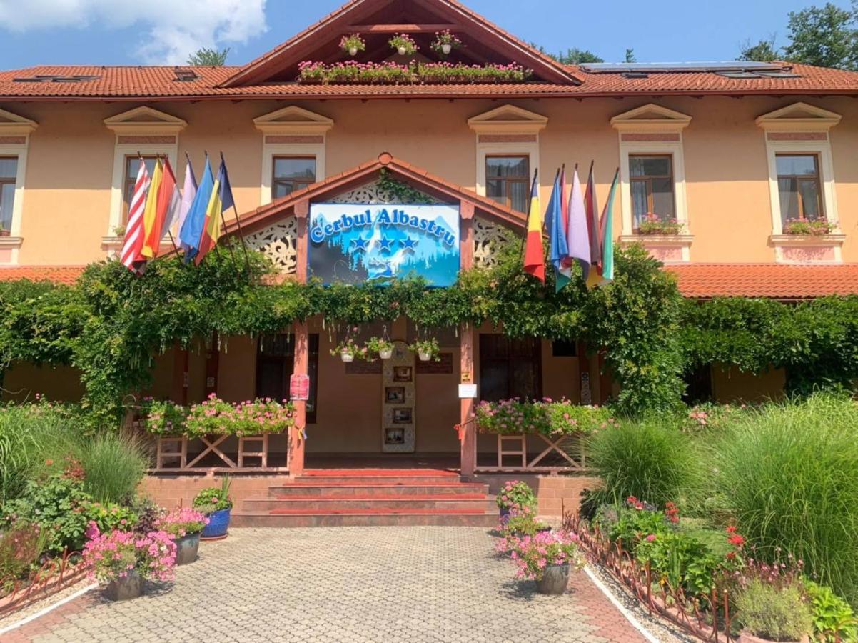Vila Cerbul Albastru Hotel Монеаса Екстериор снимка
