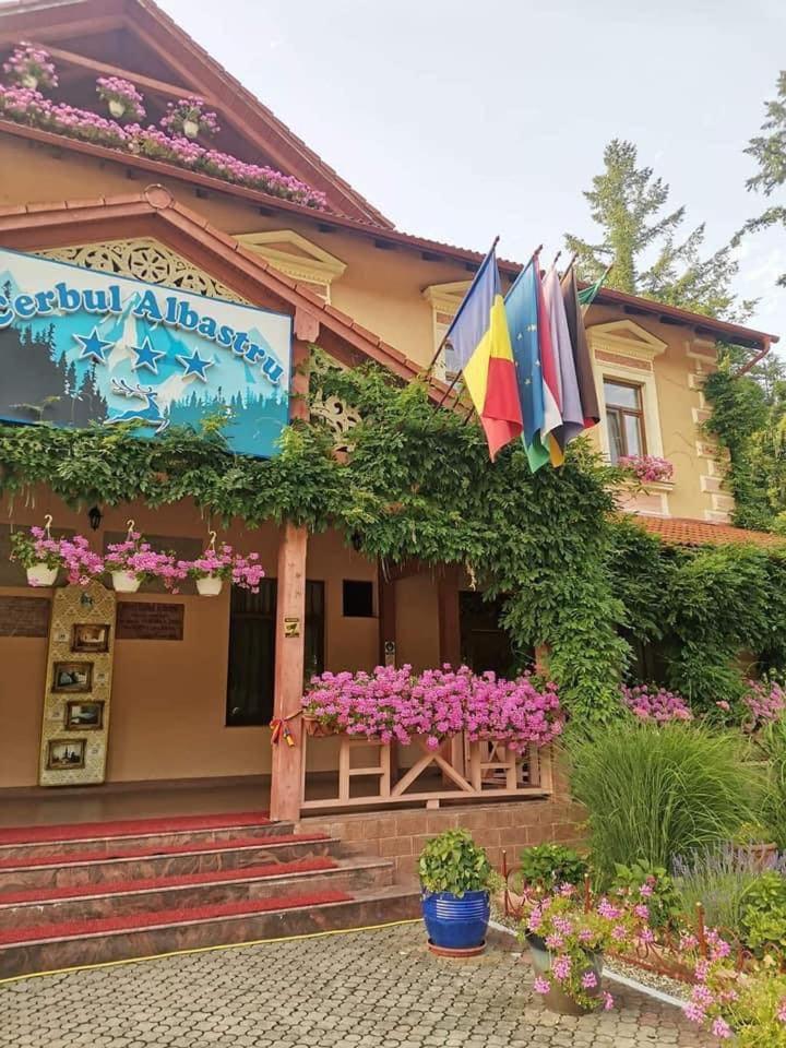 Vila Cerbul Albastru Hotel Монеаса Екстериор снимка